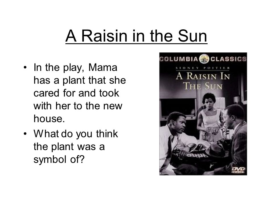Raisin in the sun play response